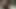 WATCH DADDY CUM FROM UNDERNEATH