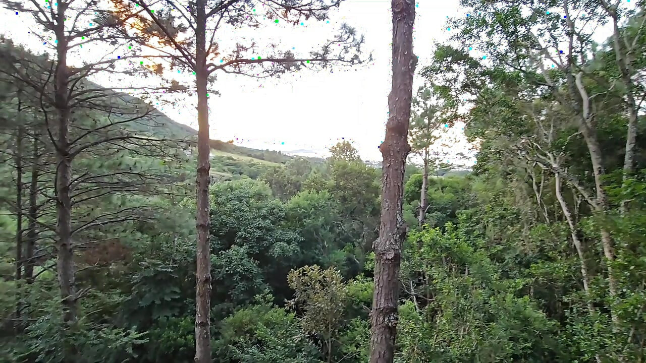 Vruća cura mog prijatelja ne može biti sama sa mnom koja mi već dolazi popušiti kurac