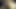 Web kameramın önünde dildoyla ateşli oral seks
