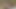 Usable Fag-1.mp4
