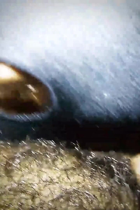 我爱我的继父 BBC1