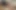 Cum Swallowing Reward for Delivery Guy's Same Day Service