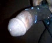 my show pt 1