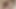 Vahşi lezbiyenler sikişmek için cam dildo kullanıyor