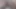 Puta Sucia de Instagram moviendo el culo perreo