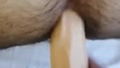 bir yapay penis ile ayı
