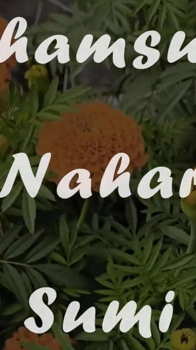 Boner Help Niye Apon Bidhoba Ma Ke Chudlo Nijer Chele | Clip 3