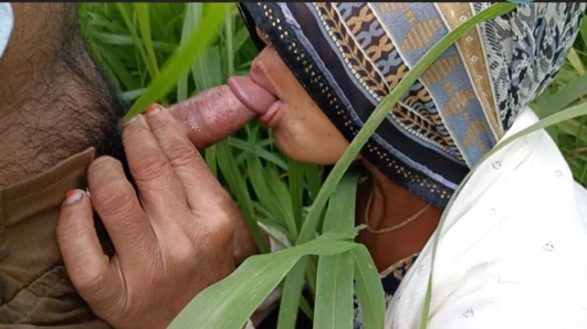 In the millet field, my elder sister-in-law sucked the cock and ass Mari opened the field of millet and killed my sister-in-law's ass