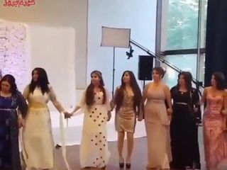 Bela dança de belas mulheres curdas em vestidos curdos