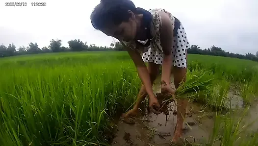 Menina asiática sexy no campo de arroz