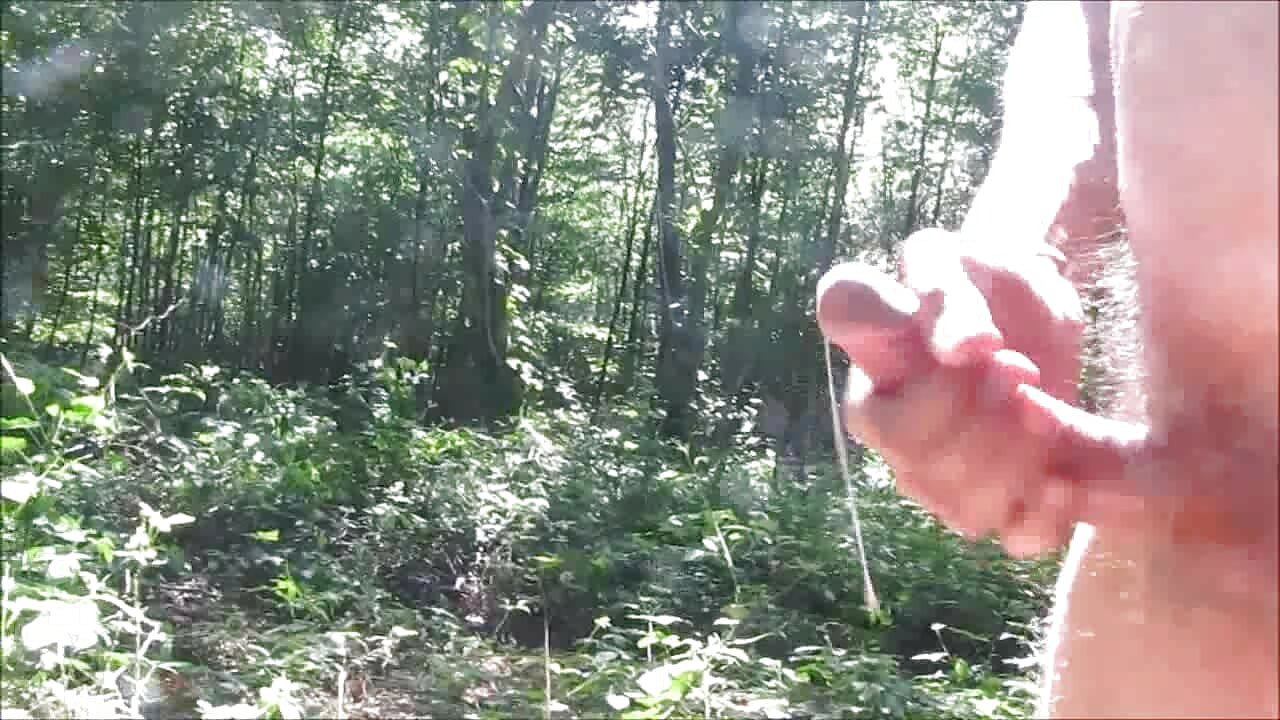 Public forest sperm fountain - loop version