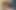 Cum Fest! Extreme Continuous Ejaculation After a 3 Week Break From Jerking off