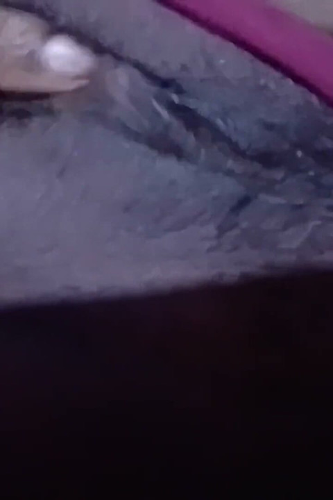 자위 즐거움