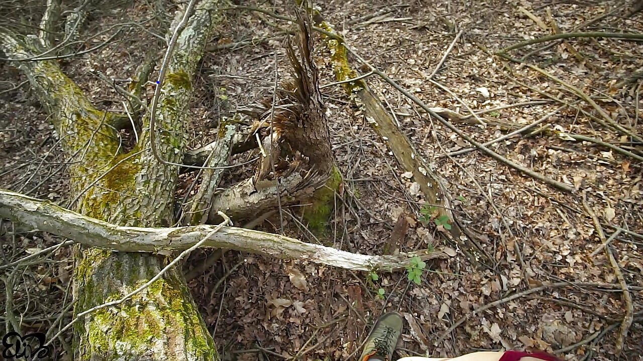 Looking for HARD TRUNKS to saw!(amateur sex in the woods)