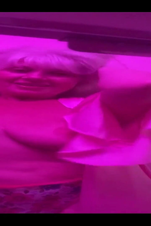 The Start of a Life Lesson Often Feels Good Stay Soft Like a Kitten