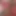 Hentai horny asian sluts 105