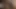 My girlfriend caught me fucking l 3D animation Hentai