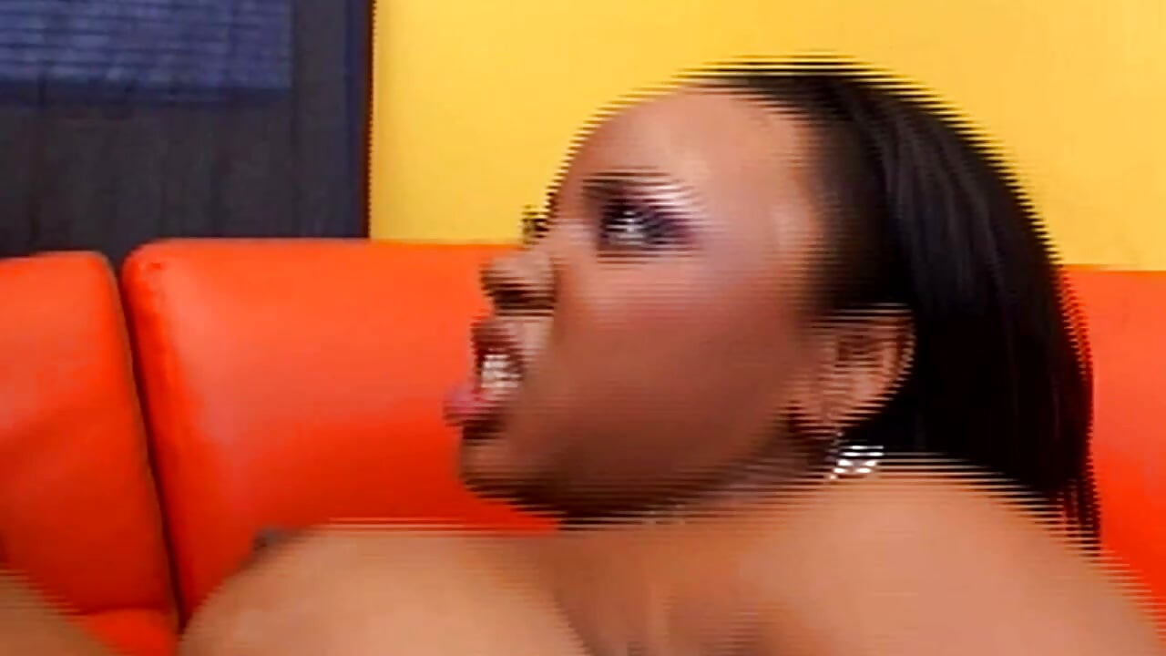 Young Black BBW Gets Banged by a Big Black Cock