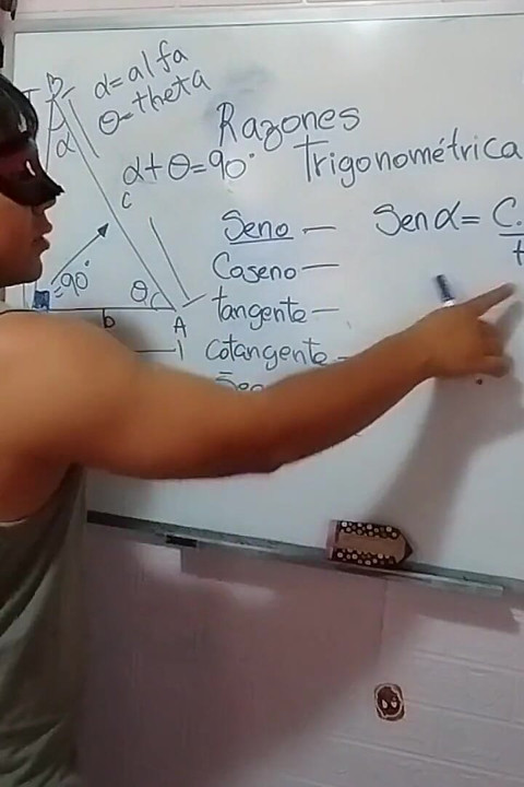 Trigonometry: Trigonometric Ratios