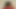Seksi abanoz cilt aicktion hoşlanır dev siyah horoz