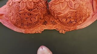 Here I jerk off on my wife's hot red lace bra (80 D)