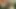 Jessica Bloom Cumshot Compilation 2022