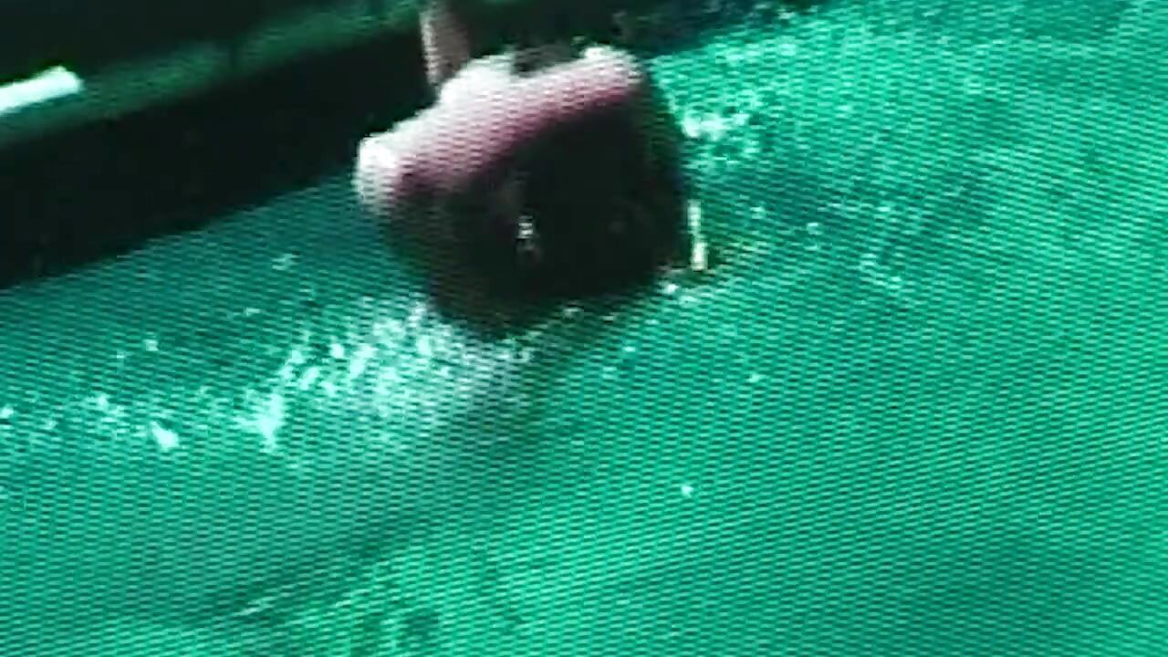 Weiße Panty Chroniken: Heißer Poolsex mit Blonder