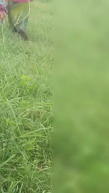 Memorable moment from "The mood of the sister-in-law who is walking in the open forest fields becomes to get rid of the"