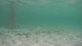 Потрясающие сиськи под водой