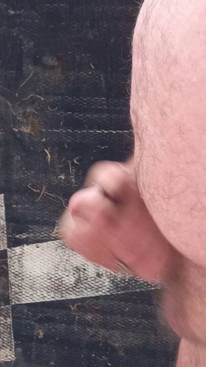 Hypocock cum
