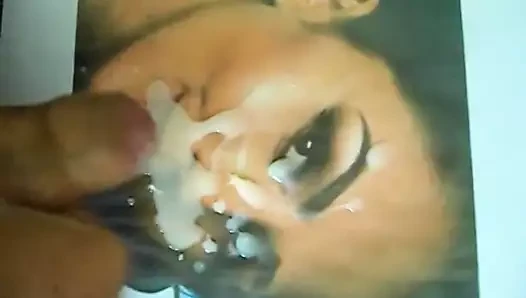 Viskinslut