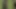 The landlady of the house eats the gardener's dick