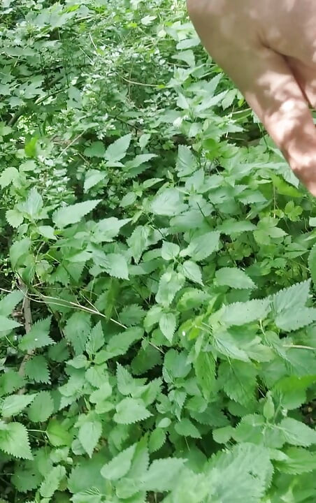Playing in nettles
