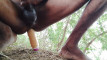 Pregled videozapisa