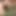 Mükemmel doğal göğüslü sarışın dölün tadına bakmayı seviyor