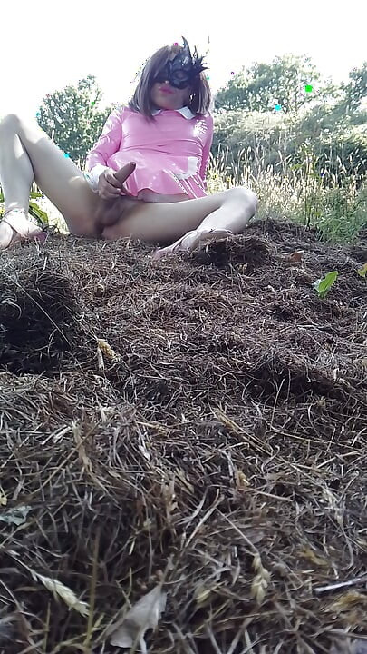 Sissy Lilly Wanking in the Field of Dreams