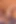 Katharine Fozol