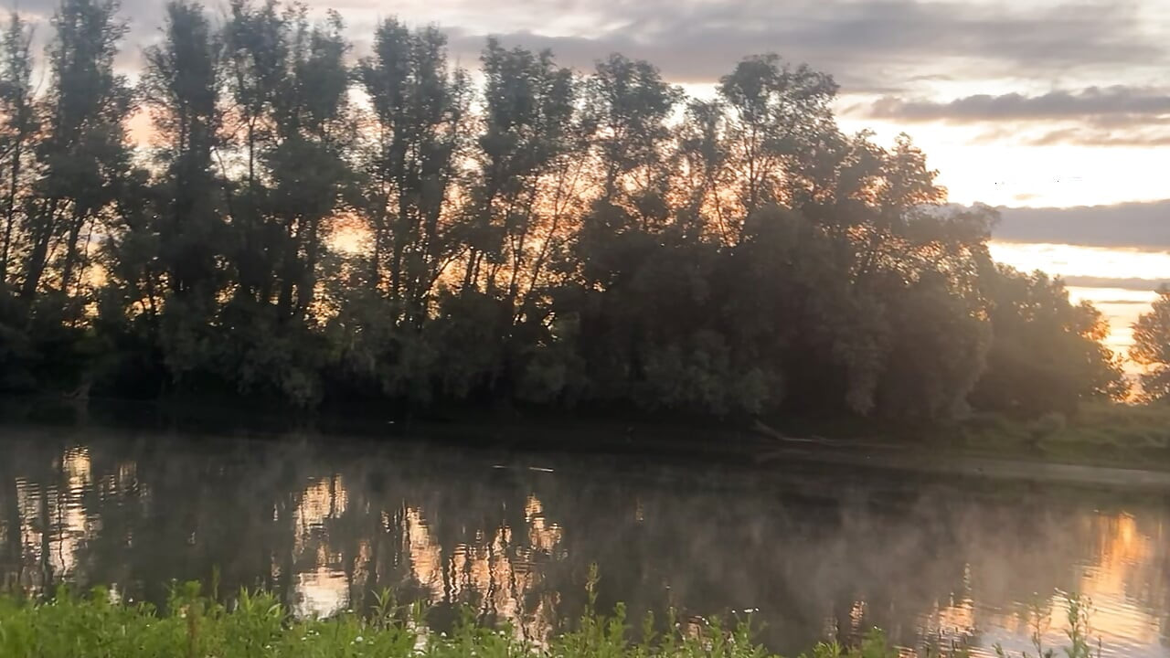 Playing in the morning at a public lake