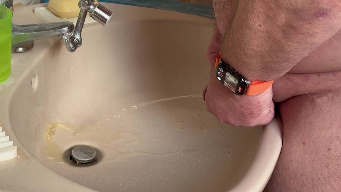 シンクに無理やり入るのは楽しいです