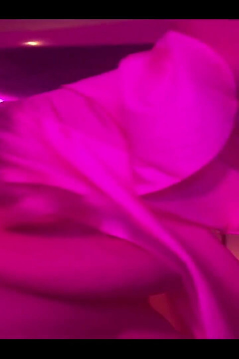 人生课的开始往往感觉就像小猫一样柔软