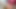 セクシーで美しい女の子、寝室ソロビデオ