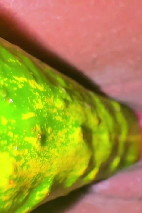 보짓물 가득한 보지를 뻗는 큰 오이