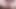 sıkı kedi, güçlü orgazm anal plug ve mikro penis