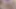 Shy 18yo First Time Porn Swallow