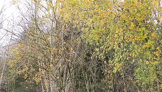 Doggystyle im wald!