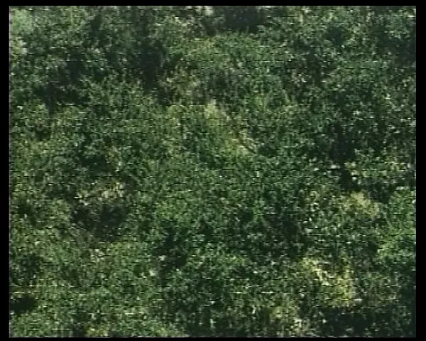 Sie treiben es ueberall Porno Film von 1989