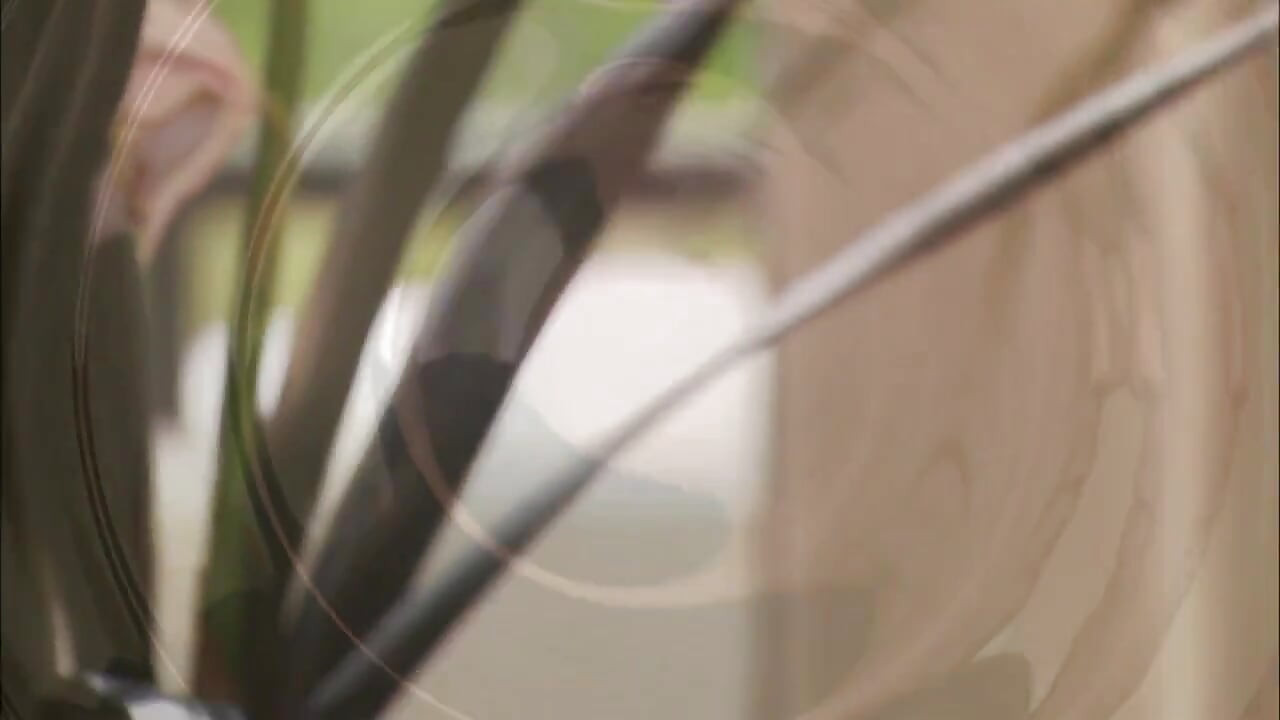 대물 자지에 대한 큰 열정을 가진 관능적인 금발 밀프