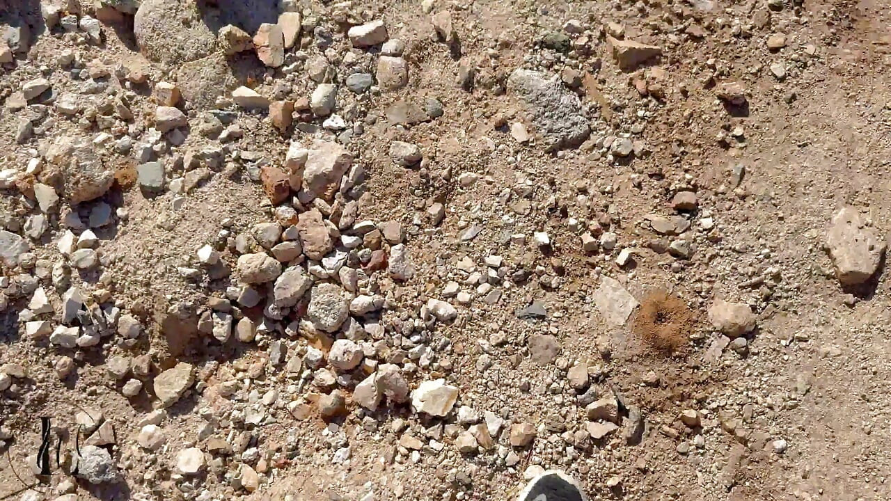 Ebony Couple Hiking Fresh Air and Pornstars