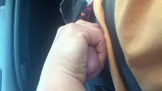 Road Trip Handjob