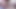 Dakota Marr Masturbation Shortsショーツ